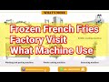 Automatic Frozen French Fries Production Line for Turkey Customer