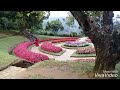 hakgala gardens at nuwara eliya sri lanka. 🇱🇰. lali bro.