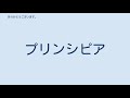 アッシジの聖フランシス教会