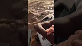 Daring Rescue of Kenyan Driver Trapped in Flood #shorts | VOA News