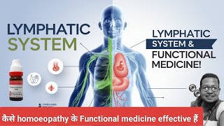 Understanding Lymphatic \u0026 Glandular Anatomy: A Visual Guide