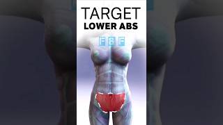 Lower ABS🏋️🏋️#shorts #short #ytshorts #workout #fitness #gym #trending #viral #youtubeshorts