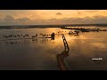 kaipuzhakattu palathuruthu kottayam drone view 4k