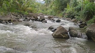 suasana sungai Lereng Gunung Slamet saat gerimis syahdu