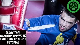 Muay Thai Reaction Pad Work Drills for KO shots Tutorial