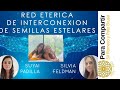 Semillas Estelares con Códigos Armónicos Galácticas , Red Etérica ACTIVADA!