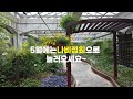 공원 정원 공원안의 정원을 소개하다 2탄 서울숲 나비정원 랜선나들이🍃