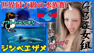 海遊館 世界最大級 水族館 なのにカワウソとペンギンばっかり見てたGS嬢女組氏