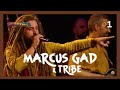 Marcus Gad & Tribe : Voyage spirituel au Cabaret Sauvage