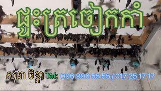 សុធា ចិន្តា#ទទួលរៀបចំផ្ទះត្រចៀកកាំ25ខេត្តក្រុង #0969965555 #017 251717