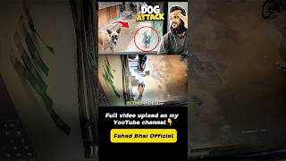Dog Attack on my son 😳 #viral #shorts