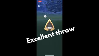 Pokémon GO - Excellent throw to Snorunt #Shorts