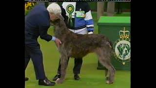 Crufts 1994   BBC group coverage