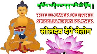 Flower of faith གསོལ་འདེབས་དད་པའི་མེ་ཏོག ། supplication prayer གངས་ཅན་ཤིང་རྟའི་ཉེར་ལྔ་ལ་གསོལ་འདེབས།