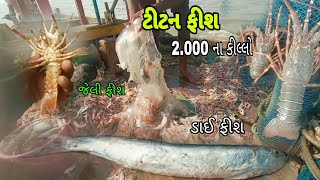 ટીટન ફીસ🦞🦐 // 2,000 રૂપિયા ના કિલો || titan fish😱 #સમુદ્રીલુટેરા #viralvideo