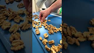 walnut cracking machine with highest results on the market