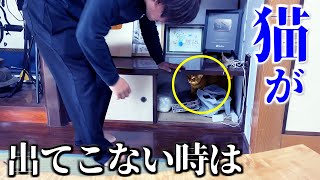 隠れたみーちゃんをおびき寄せる裏技！