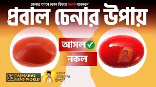 রক্ত প্রবাল পাথর চেনার উপায় আসল বা নকল বুঝবেন কিভাবে Real or Fake Red Coral Stone