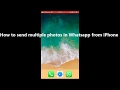 How to send multiple photos via WhatsApp on iPhone