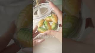 [ASMR] Corn Gummy + Korean Juice Restock\u0026Refill | TikTok