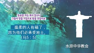 240419 温柔之福 온유의 복(마 5:5)