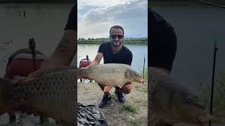 9 KG carp #fishing #თევზაობა #carpfishing #fishingdaily