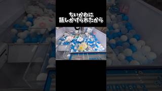 【クレーンゲーム】ちいかわに話しかけられたから #shorts #youtubeshorts #クレーンゲーム #youtube #ちいかわ