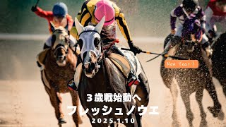 【馬主】所有馬の近況とこれからについて【競馬】