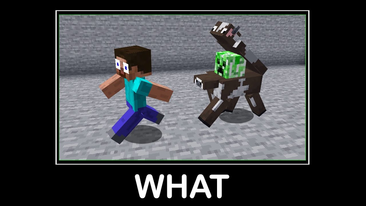 Wait What Minecraft 61 Youtube