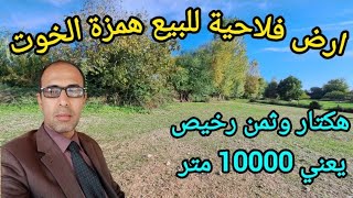 منزل للبيع معه ارض فلاحية هكتار ثمن همزة الخوت واعرة ورخيصة اجي تشوف بعينك الفرصة لجاتكم اش بان لكم