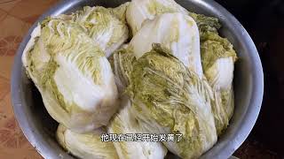 北方特色食材，东北酸菜腌制方法，家家户户必不可少的冬季美食