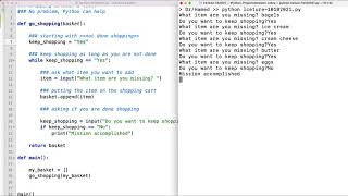 Python Programming: Shopping Without A Grocery list