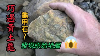 【力克行腳】巧遇~黃土龜(龜甲石?) | Stone Hunting, Taiwan (庫存影片)