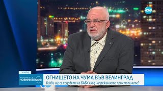 Д-р Борис Борисов: Огнището на чума във Велинград. Какви ще са ходовете на БАБХ след напрежението?