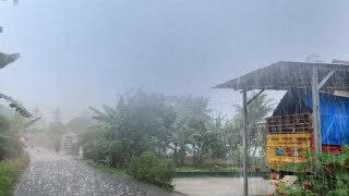 Rain Big Thunder in village scary Red soil Village|Rain For Enjoy sleeping