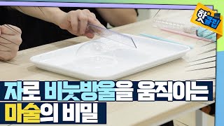 [핫클립] 신기한 정전기 마술 / YTN 사이언스