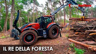 Nei boschi con Valtra T235 e Kesla 316 T: la coppia da battere!