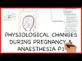 PHYSIOLOGICAL CHANGES DURING PREGNANCY PART 1- PHYSIOLOGY SERIES