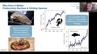 Massive Tides, Warming Waters, and Rising Seas: The Gulf of Maine Explained