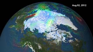 An Interesting Year for Arctic Sea Ice