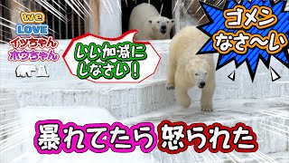 今日も朝から大暴れのホウちゃん。イッちゃんに叱られてしまいます。しかし全然言うことを聞かずにイッちゃんに飛び掛かる始末。頭に来たイッちゃんは本気で怒ることにしたのです。【イッちゃんホウちゃん284】