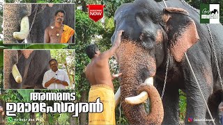 Annamanada Umamaheswaran| അന്നമനട ഉമാമഹേശ്വരൻ|aanatthaara|ആനത്താര