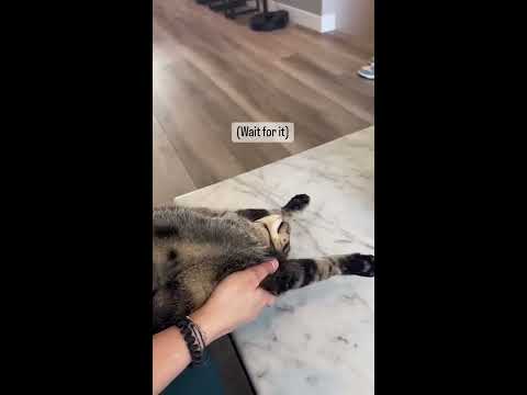 His Face At The End ёяш ёяшв Shorts Youtube