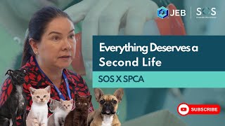 SOS Donation Network | SOS X SPCA Hong Kong