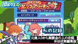 【ぷよぷよクエスト】第２回ビンゴアリーナ　裏アリーナ私の記録（ほぼ無編集版）【無課金ブログ】