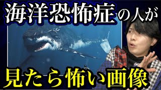 海が怖い！？海洋恐怖症の人が見たら怖い画像を見てみた！！2022Part 1 ＃海洋恐怖症　#海洋人工物恐怖症　#深海恐怖症