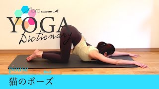 【YOGA Dictionary】No.8 猫のポーズ（マルジャーラ・アーサナ）