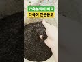 가축분퇴비와 유기농업자재로 등록된 퇴비 비교 영상입니다. 다육용토 경산다육