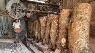 Wood sawing process // Summary of steps to produce wooden cutting boards in Vietnam