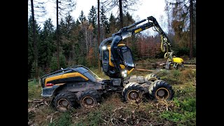 🌲4K| Ponsse ScorpionKing & Vorfäller • Big trees vs. Harvester • Forestwork • Ponsse Logging🌲